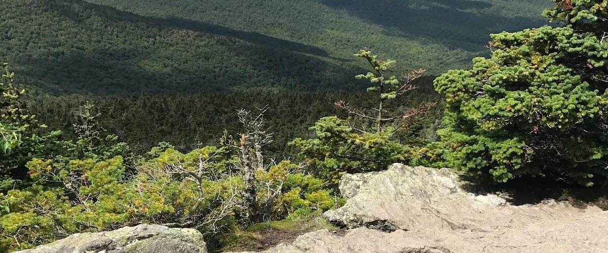 A pair of hiking boots on a rocky outcrop overlooking a forested valley.