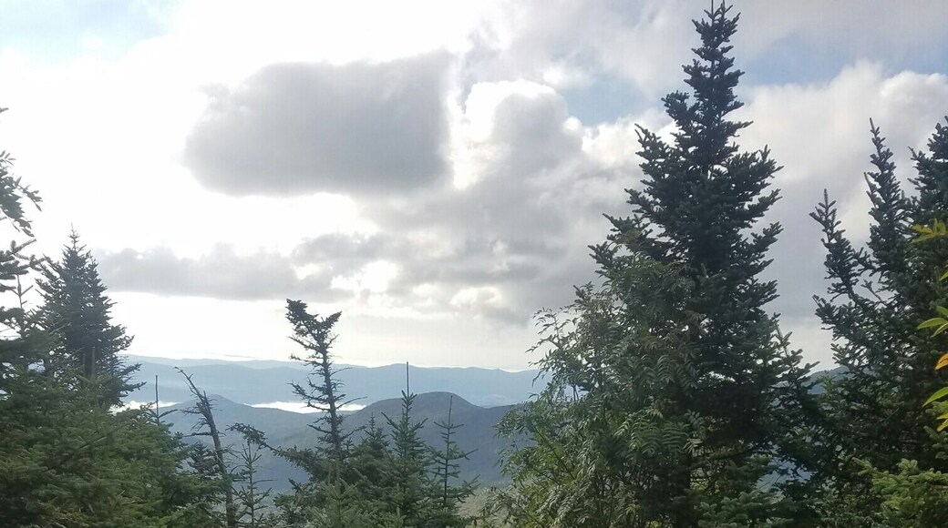 The remains of a b-29 bomber on the alpine trail headed to camels hump