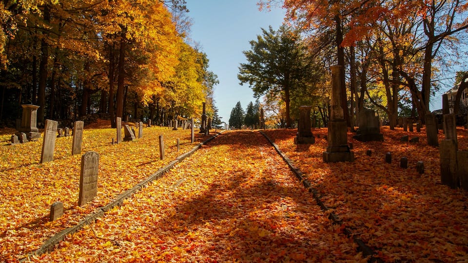 A cemetery with autumn leaves, tombstones, and trees.