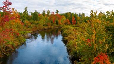 Autumn forest landscape over Cedar Brook on Old Sturbridge Village Road in Massachusetts