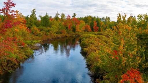 Autumn forest landscape over Cedar Brook on Old Sturbridge Village Road in Massachusetts
