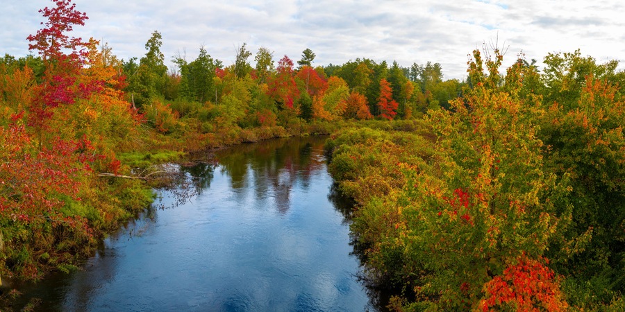 Autumn forest landscape over Cedar Brook on Old Sturbridge Village Road in Massachusetts