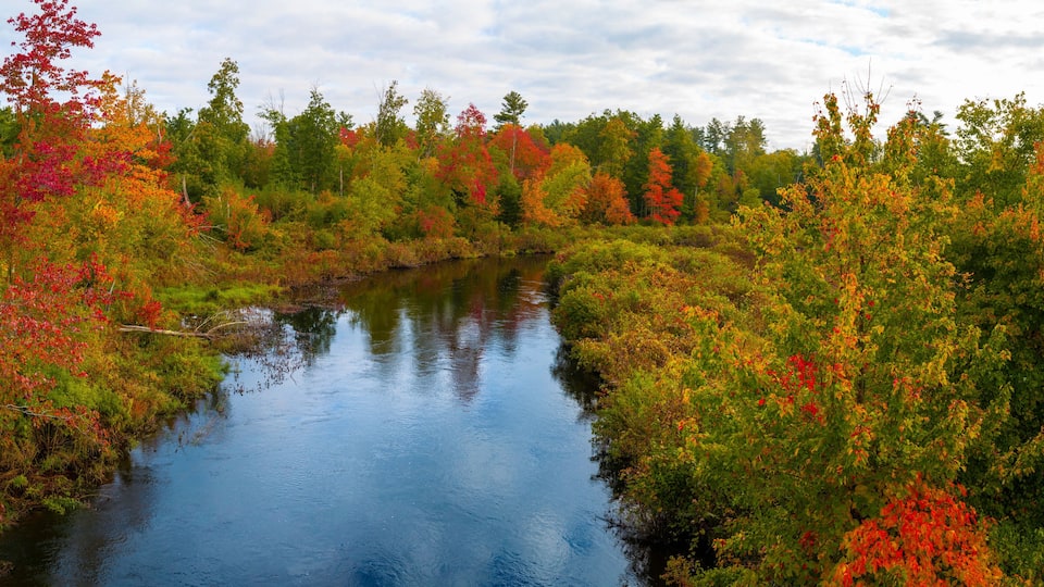 A river surrounded by autumn foliage.