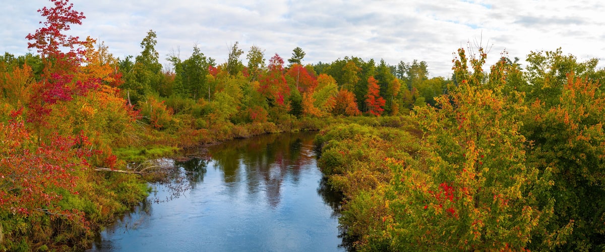 Autumn forest landscape over Cedar Brook on Old Sturbridge Village Road in Massachusetts