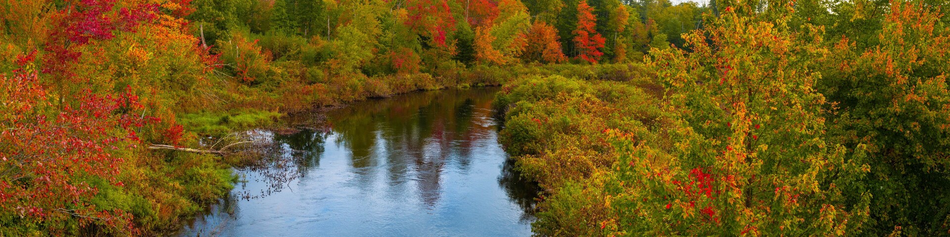 Autumn forest landscape over Cedar Brook on Old Sturbridge Village Road in Massachusetts