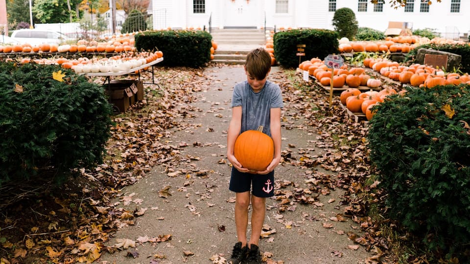 A boy holding a pumpkin in a pumpkin patch with a white building in the background.