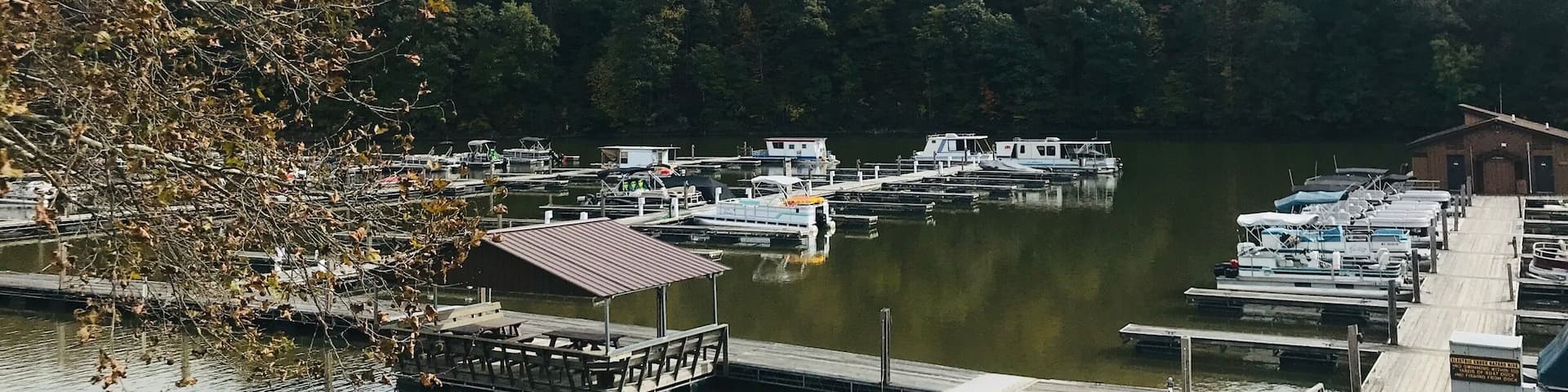 A marina with boats docked, a wooden pier, and a forested hill in the background.