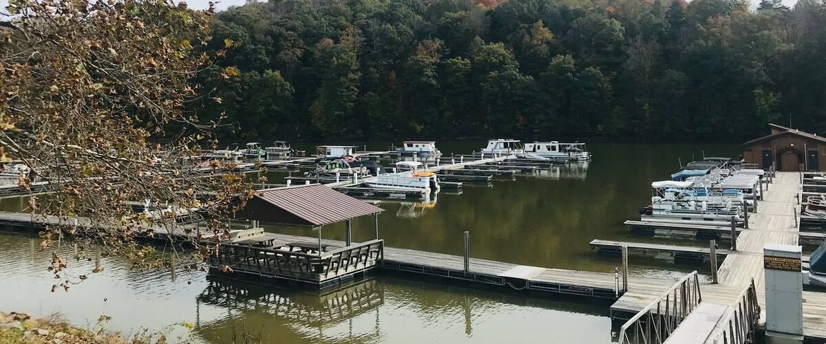 A marina with boats docked, a wooden pier, and a forested hill in the background.