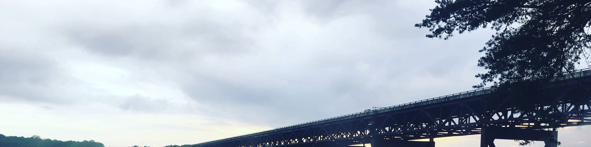 This bridge was absolutely terrifying to go over. But it's beautiful. #moutains #hiking #westvirginia #roadtrip