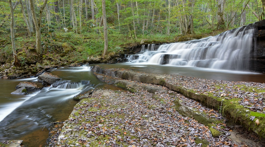 Clinch Mountain waterfall along a trout stream