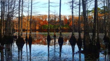 A cozy little cabin in the woods on a private lake. This was taken with the early morning sun just coming up.
#reflections