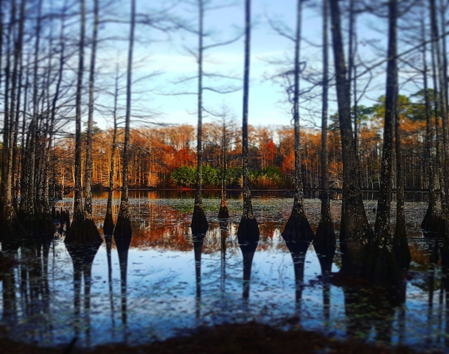 A cozy little cabin in the woods on a private lake. This was taken with the early morning sun just coming up.
#reflections