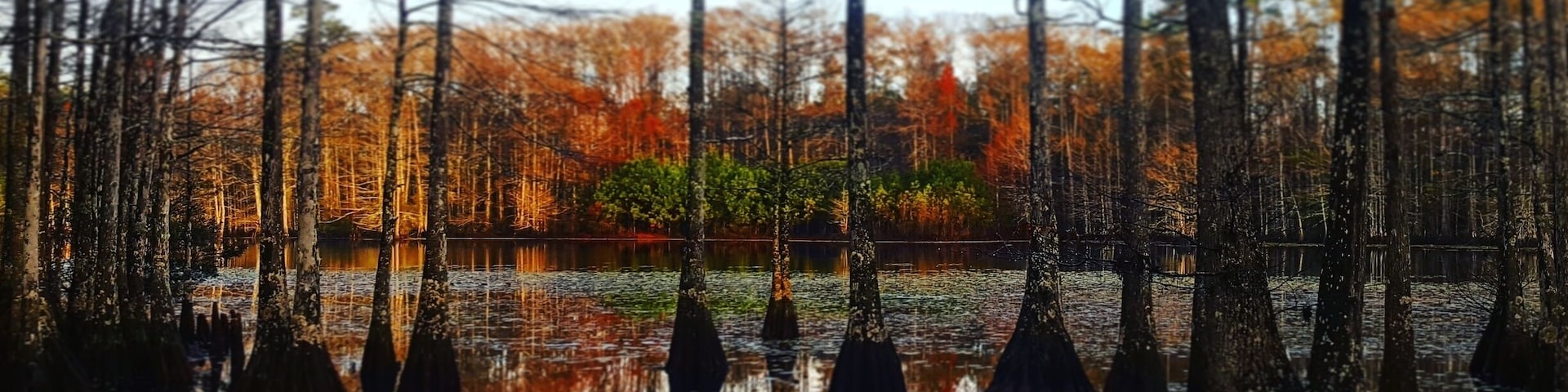 A cozy little cabin in the woods on a private lake. This was taken with the early morning sun just coming up.
#reflections