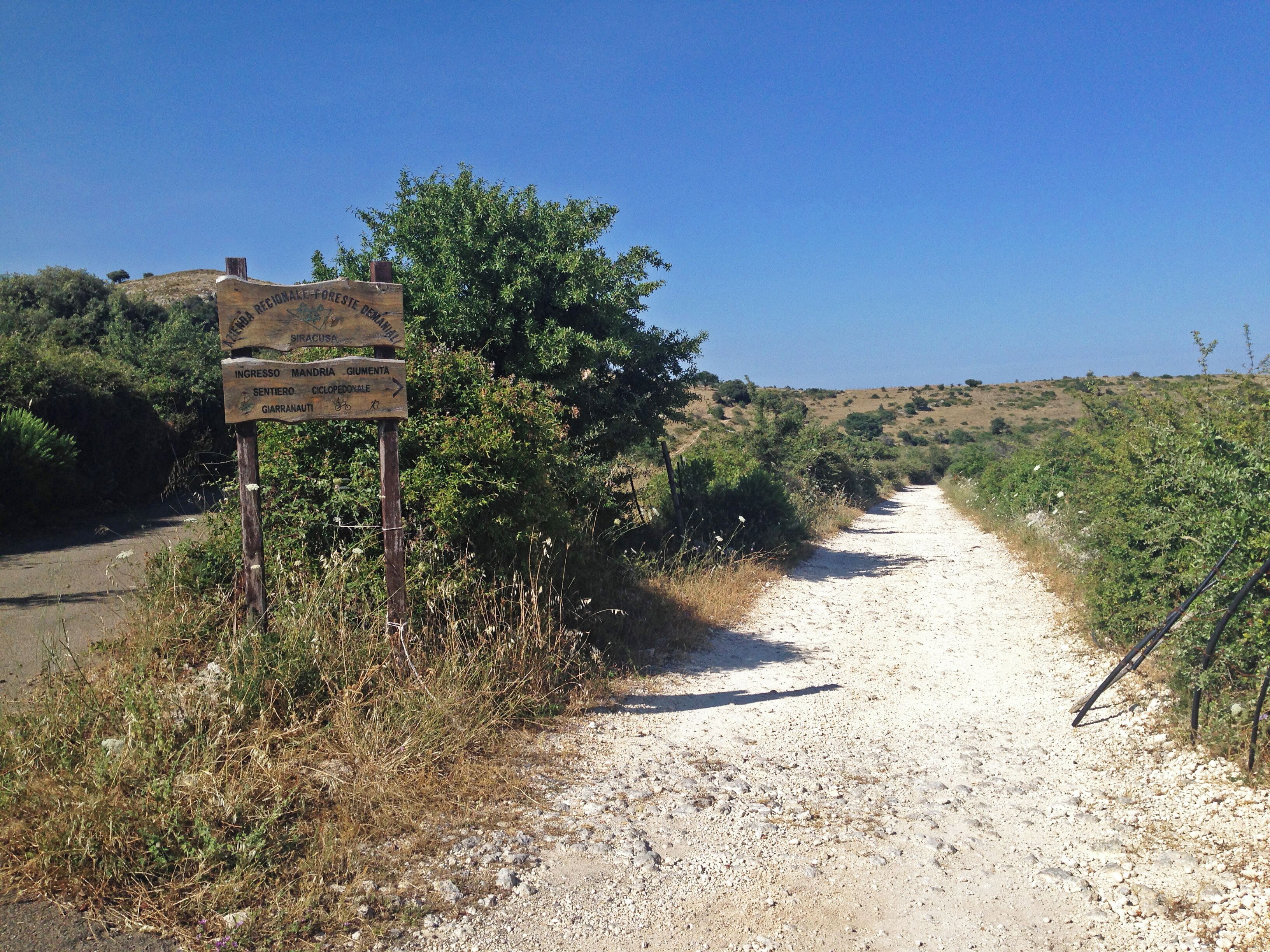 A dirt road with a wooden signpost indicating directions to various locations.