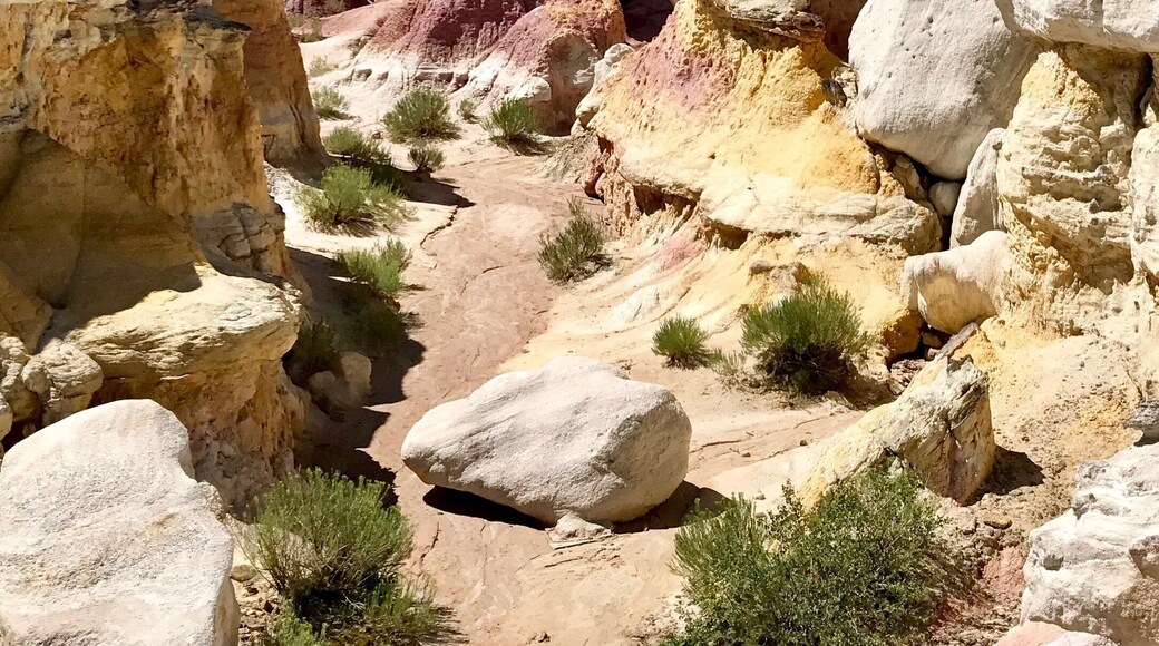 Hoodoos in Colorado...and no crowds!!! #TakeaHike