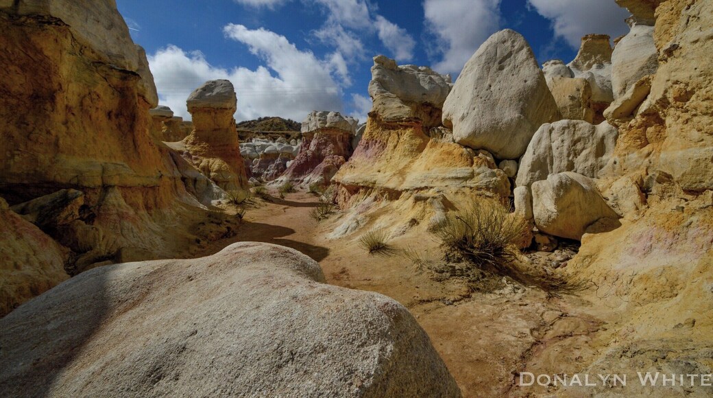 The Paint Mines are gorgeous and have evidence of human life dating back over 9,000 years ago. It has free entry, and is best enjoyed in the early morning.