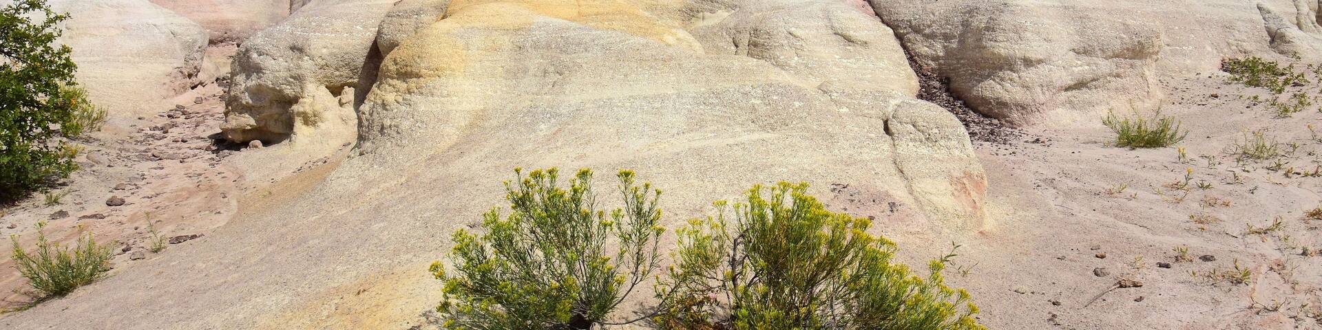 yellow wildflowers and the fantastically-colored and eroded pink and yellow hoodoos of the paint mines, near calhan, in el paso county, colorado