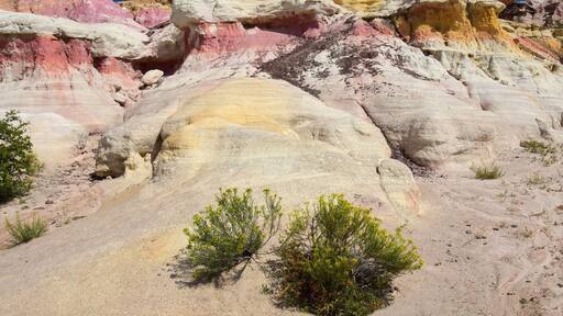 yellow wildflowers and the fantastically-colored and eroded pink and yellow hoodoos of the paint mines, near calhan, in el paso county, colorado
