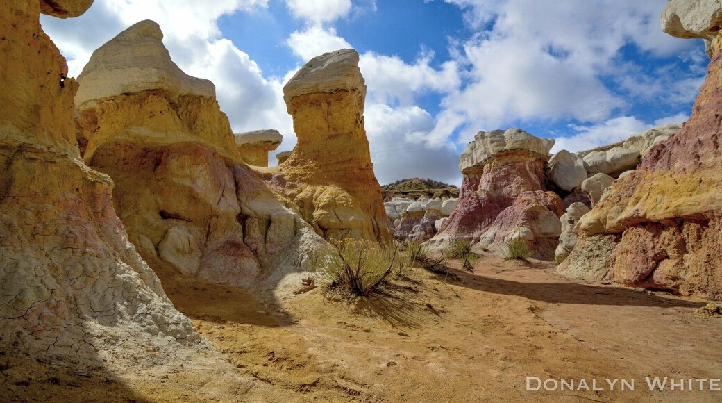 This park is completely empty if you arrive early in the morning and even throughout the day is mostly empty. Such a gorgeous park that is a must-see in Colorado. Free entry is a plus!