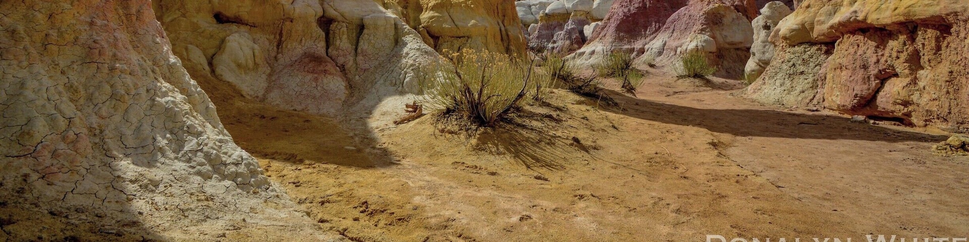 This park is completely empty if you arrive early in the morning and even throughout the day is mostly empty. Such a gorgeous park that is a must-see in Colorado. Free entry is a plus!