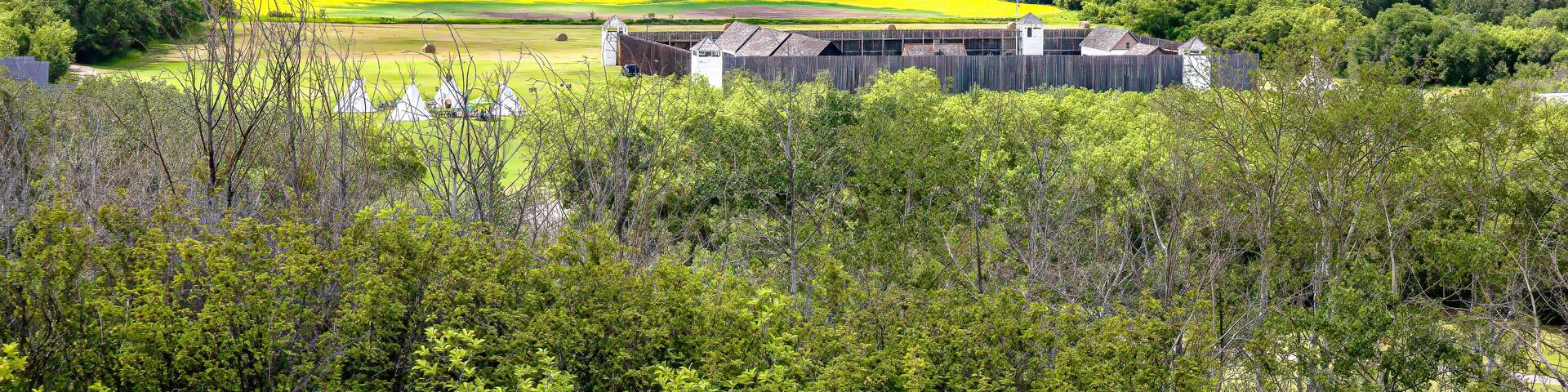 Fort Carlton Provincial Historic Site with blooming canola field