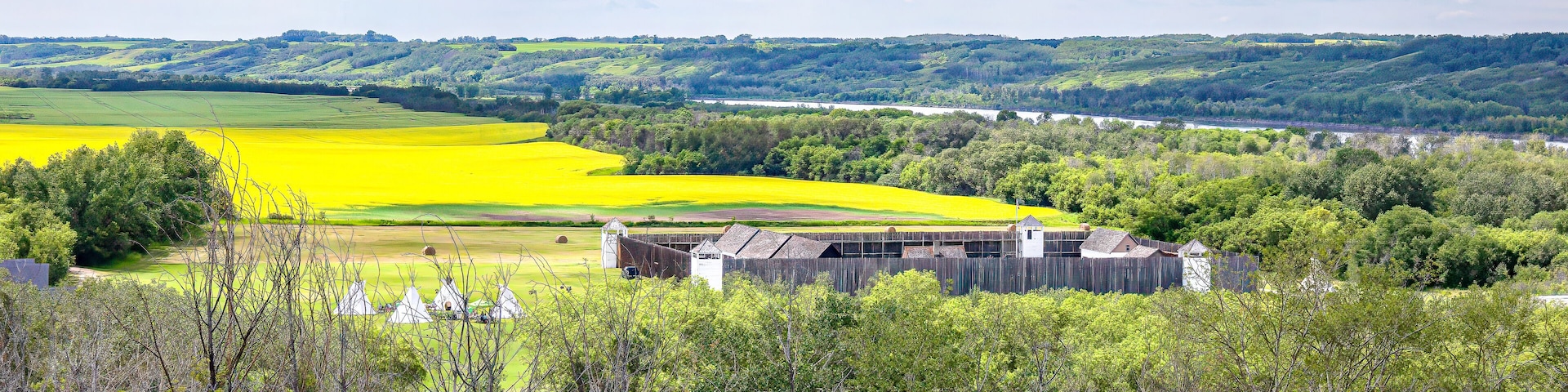 A rural landscape with a yellow field, green trees, and a wooden fence.