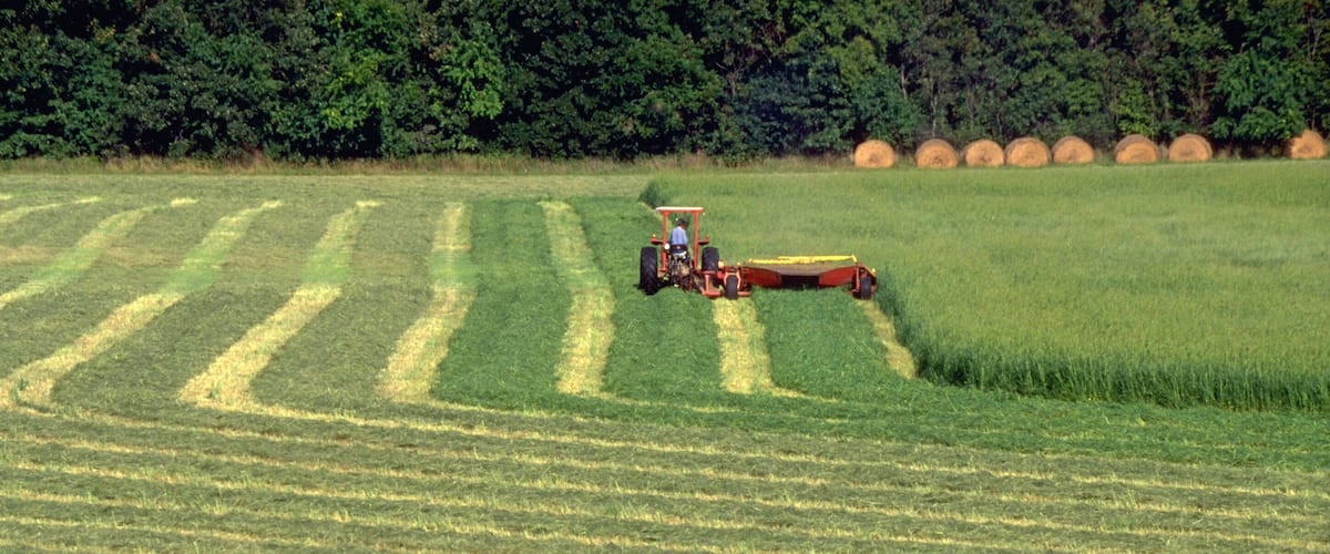 Mowing Hay