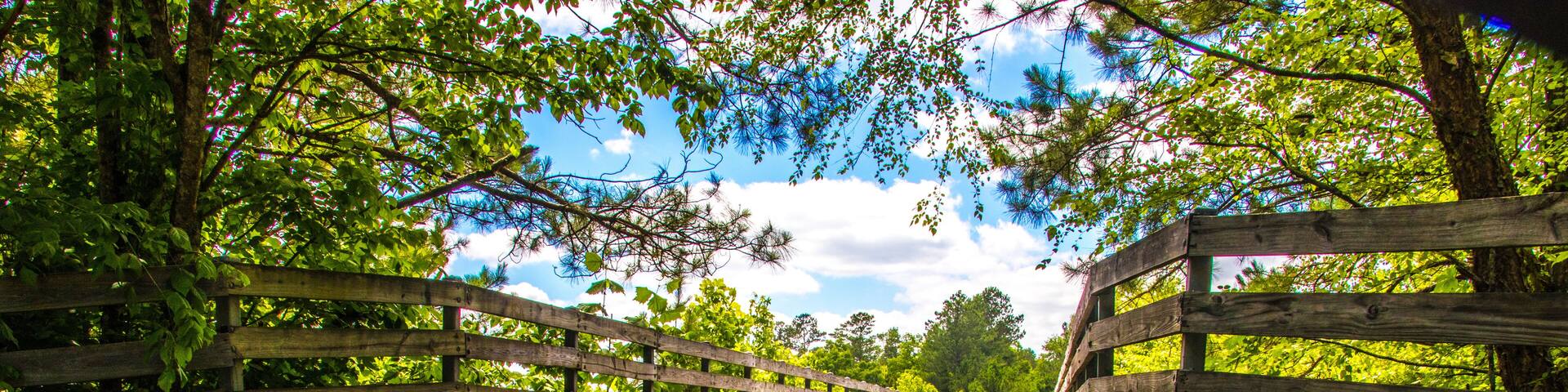 Paved walking trail Silver Comet Trail in Dalllas Georgia