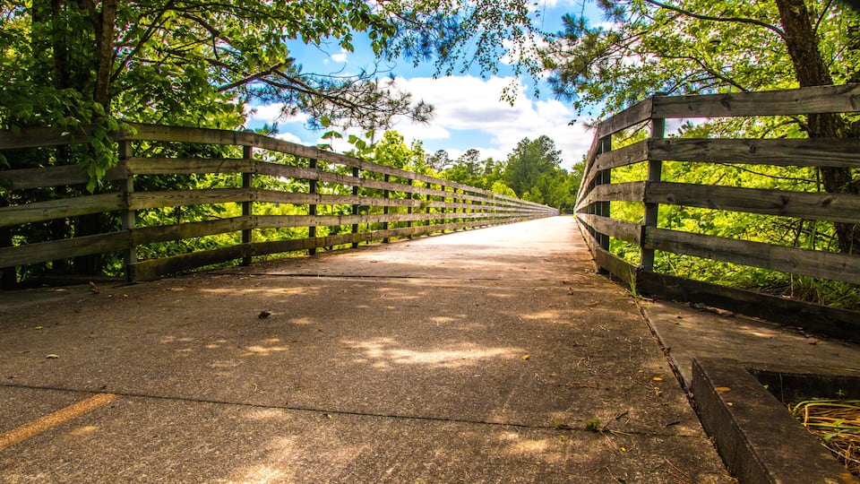 A wooden bridge with a concrete path surrounded by lush greenery and trees.