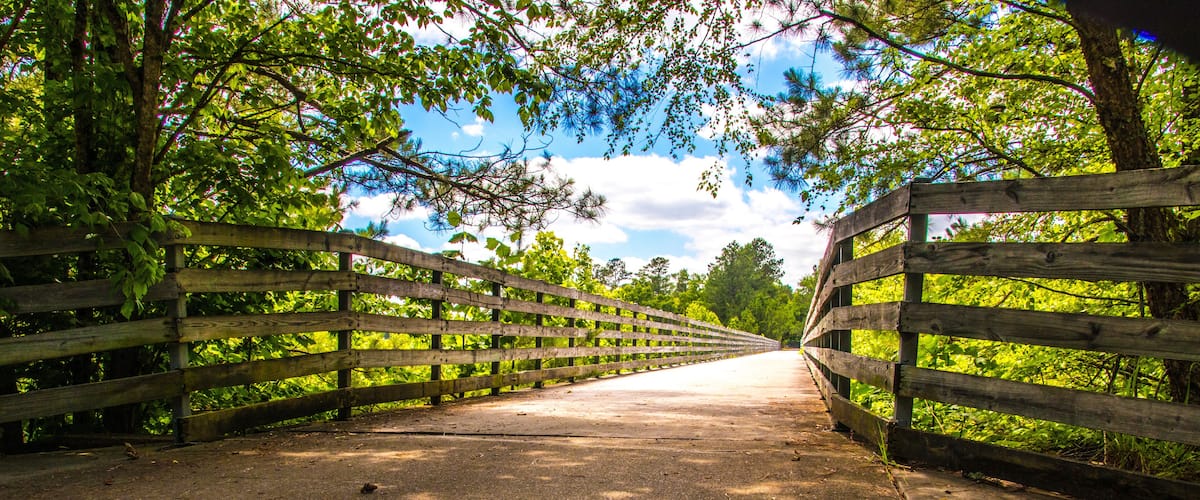 A wooden bridge with a concrete path surrounded by lush greenery and trees.