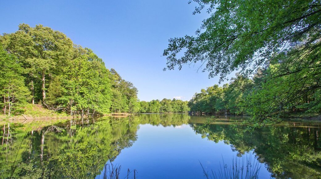 This is Becks Lake. Fishing and Kayaking on 10 acres.