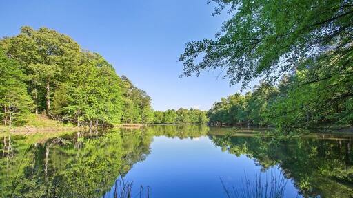 This is Becks Lake. Fishing and Kayaking on 10 acres.