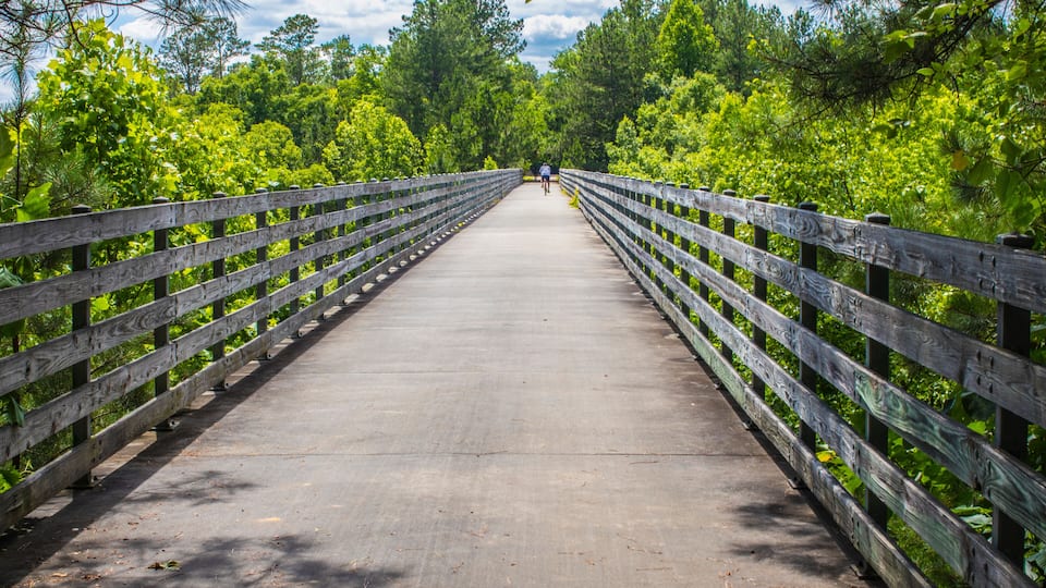 A wooden bridge surrounded by lush greenery.