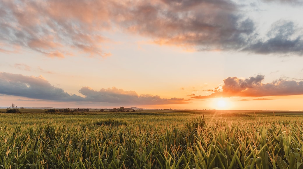 Midwest Summer Sunset Landscape View