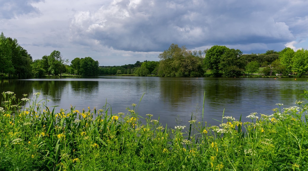 view of the Lac de Christus lake and nature reserve on the outskirts of Saint-Paul-les-Dax