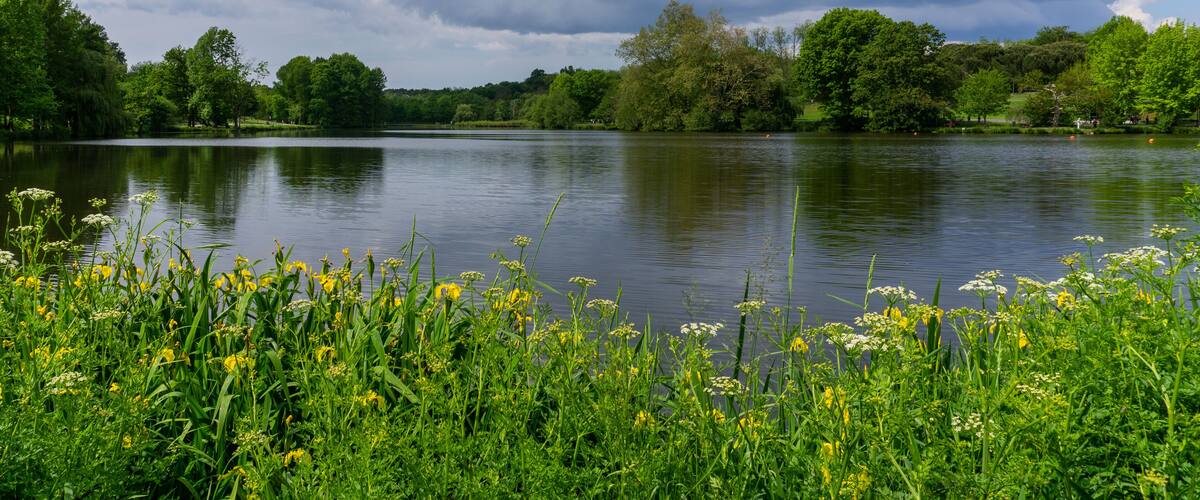 A calm lake surrounded by lush greenery and trees under a cloudy sky.