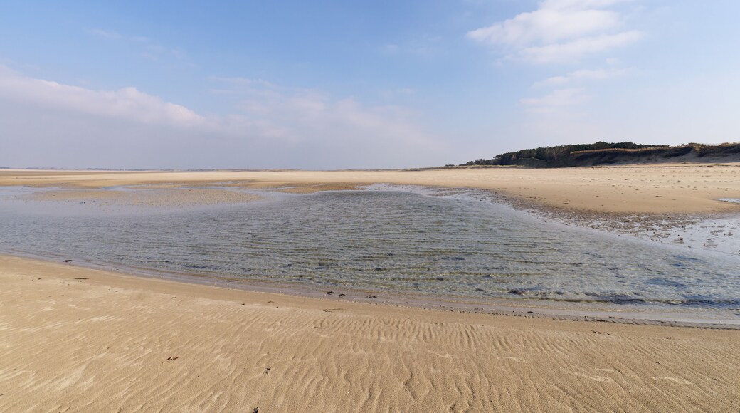 Low tide in the beach of Creances village. Cotentin coast