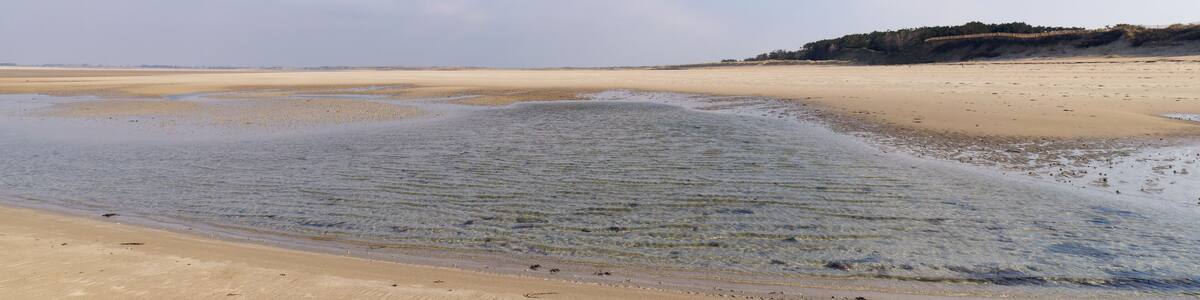 Low tide in the beach of Creances village. Cotentin coast
