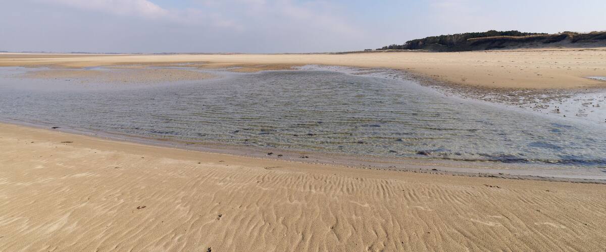 A sandy beach with gentle waves and a clear sky.