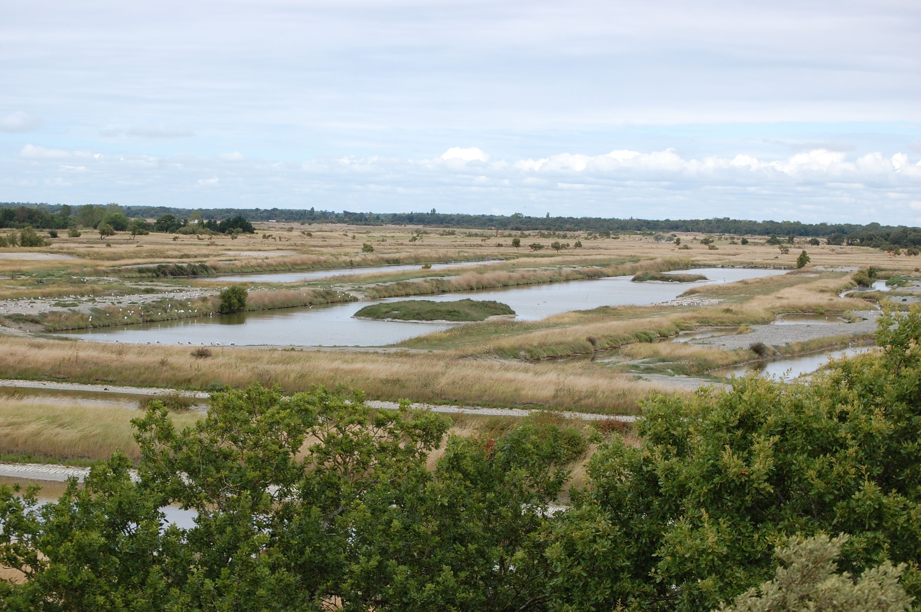 2009-07_Oleron_065