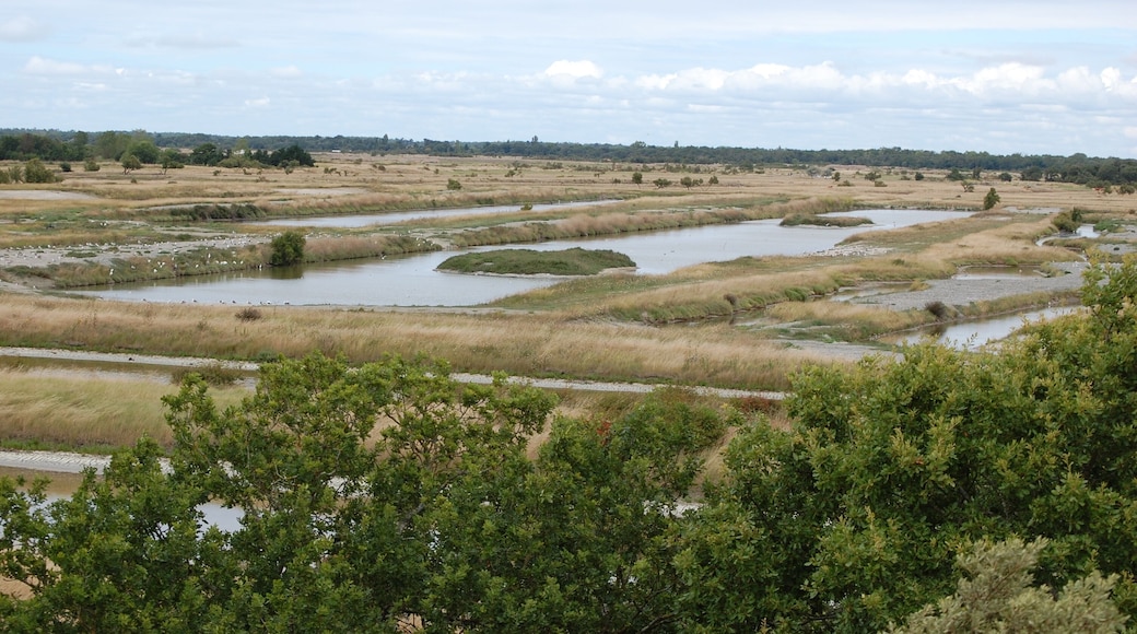 2009-07_Oleron_065
