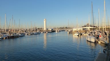 Un puerto deportivo con numerosos veleros amarrados, una torre blanca destacada y un muelle de madera con gente.