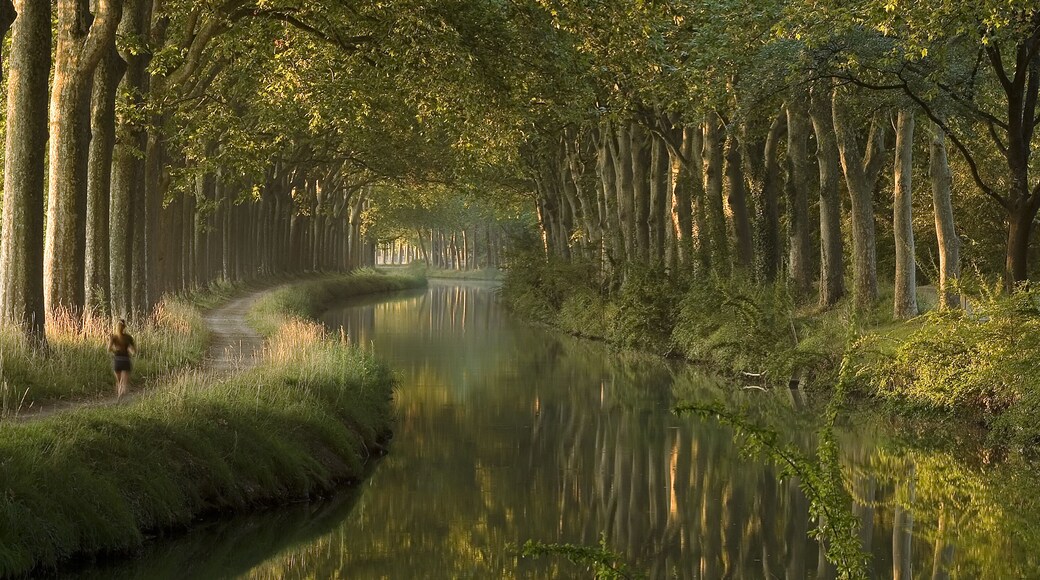 Panoramic scene of Le Canal du Midi, Toulouse
