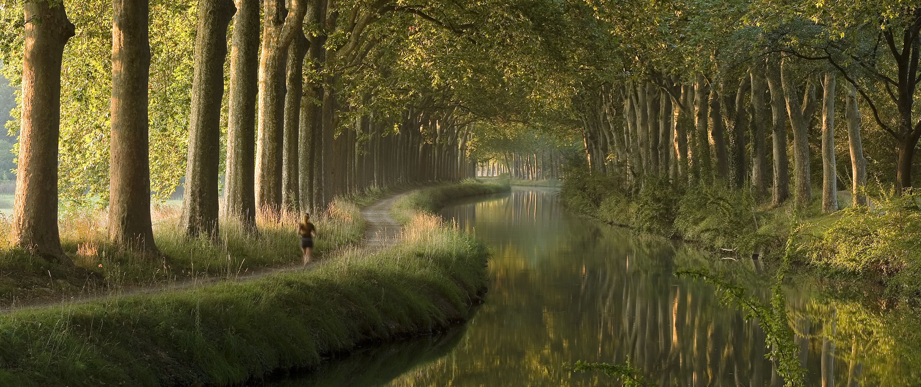 A narrow waterway flanked by tall trees with sunlight filtering through the foliage.