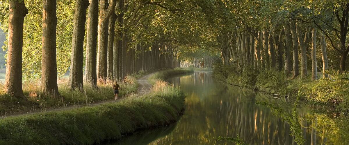 A narrow waterway flanked by tall trees with sunlight filtering through the foliage.