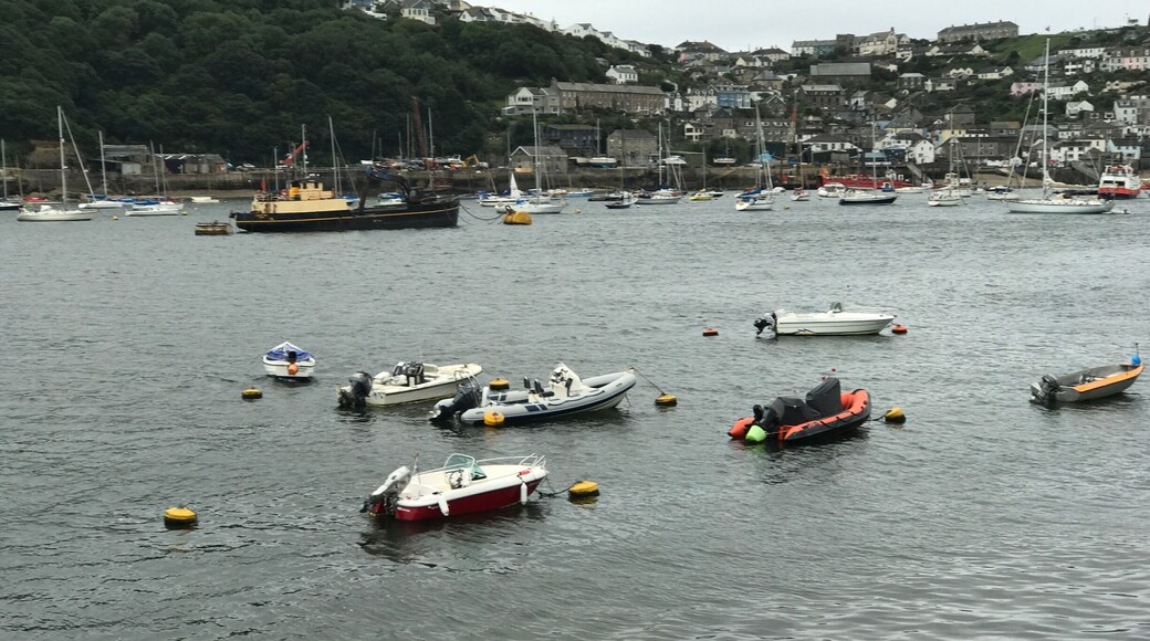 Dull old day but still lovely ! Beautiful Fowey