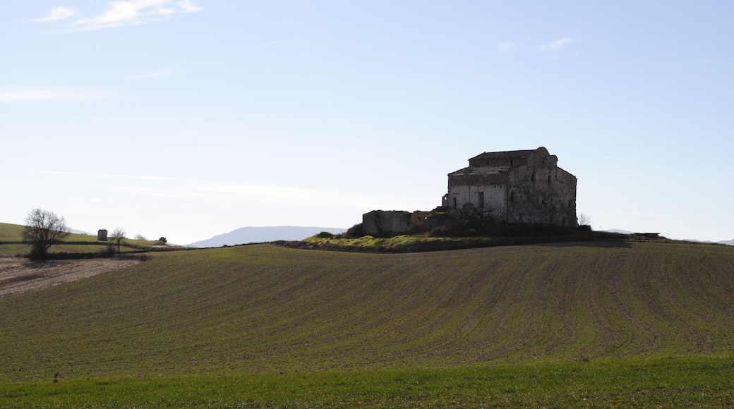 Mas d'en Briàs, o Capella de Sant Pere Nolasc (Santa Coloma de Queralt)