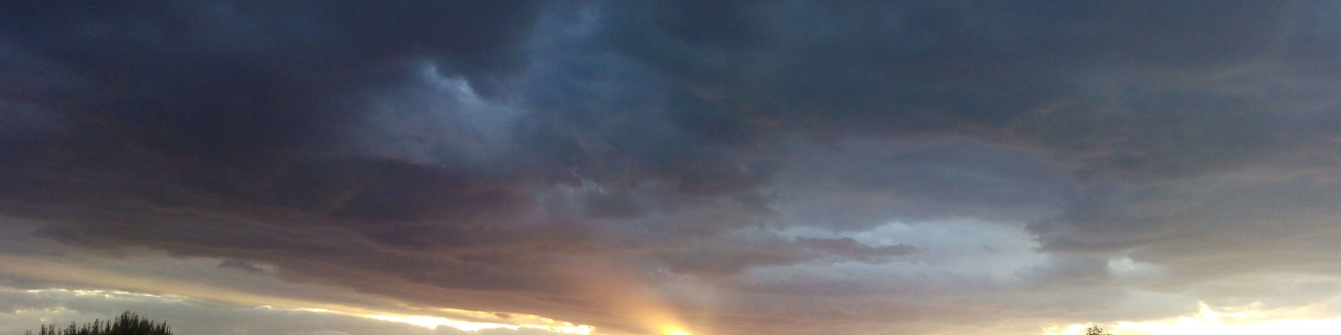 Cereals sota els últims rajos de Sol.