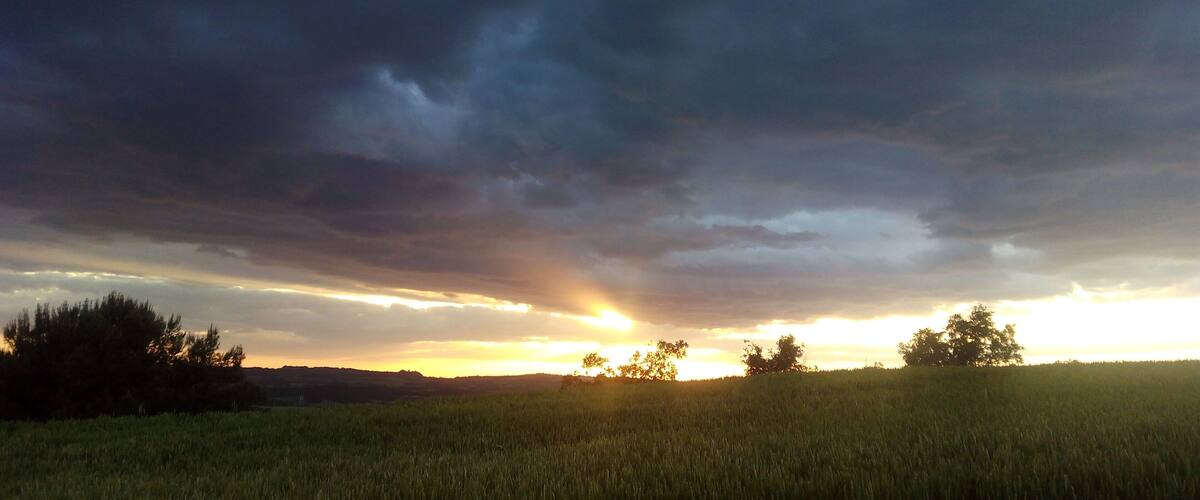 A field with a sunset and stormy sky.