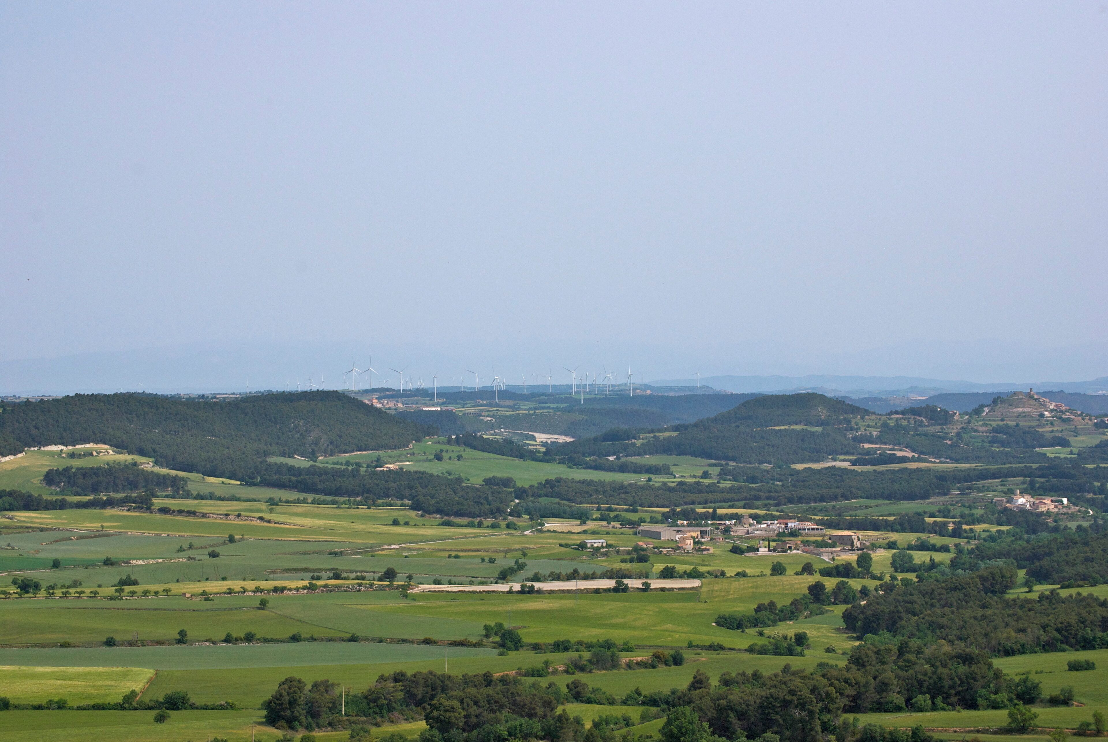 Plans de la capçalera de la riera de Clariana des d'Aguiló (Anoia)